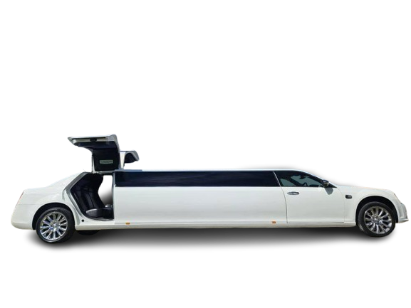 White Chrysler Gullwing